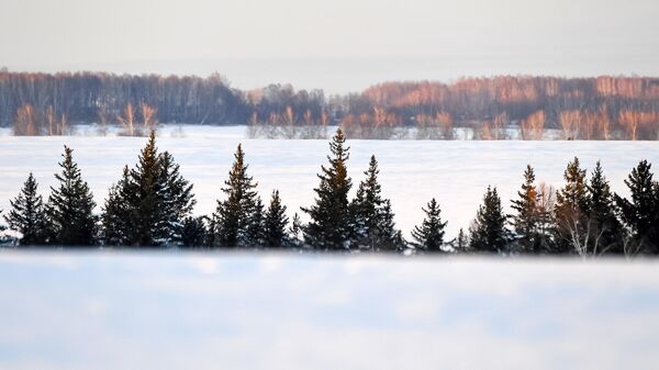 В Волгоградской области казаки принимают участие в лесных рейдах
