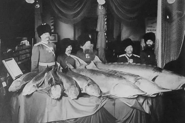 Уральские казаки с выловленной рыбой