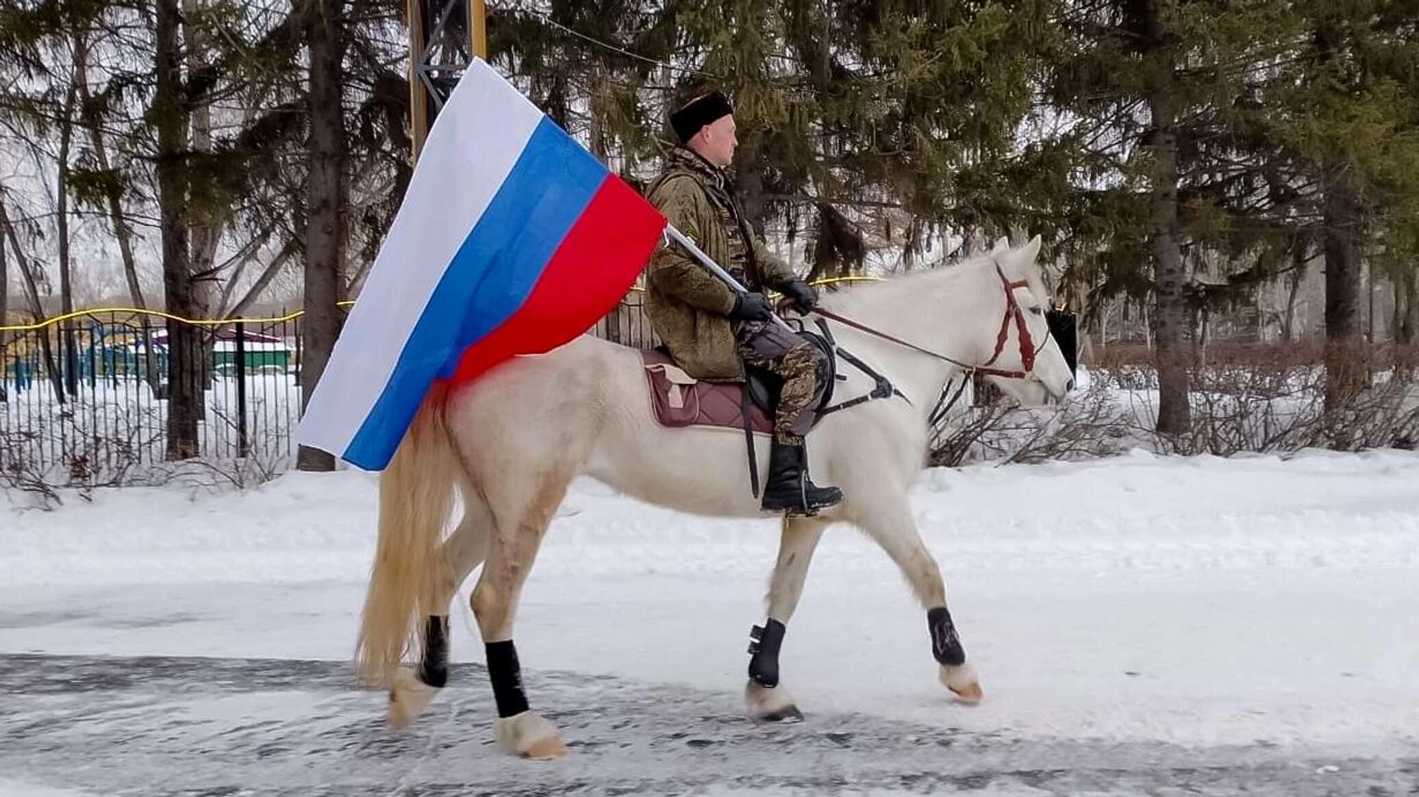 Кони курганская область