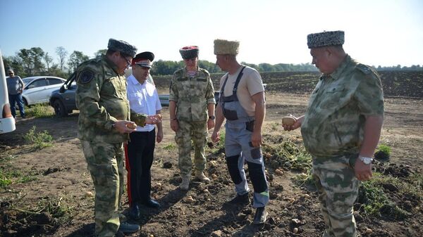 Атаман Кубанского казачьего войска Александр власов на уборке урожая в Тимашевском районе