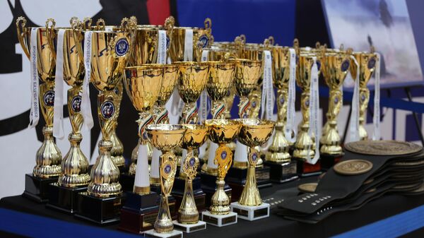 Всероссийский турнир на кубок атамана ВсКО по смешанным единоборствам