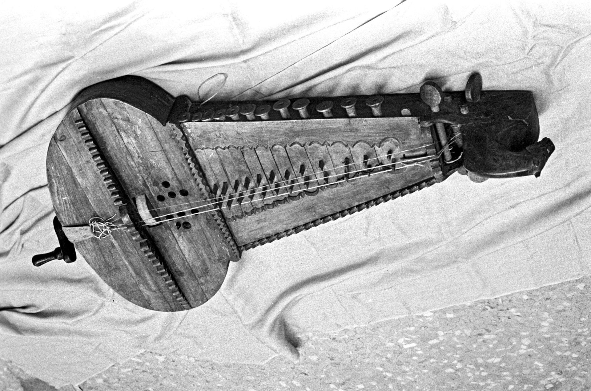 Донской рылей Донской рылей - РИА Новости, 1920, 31.10.2025