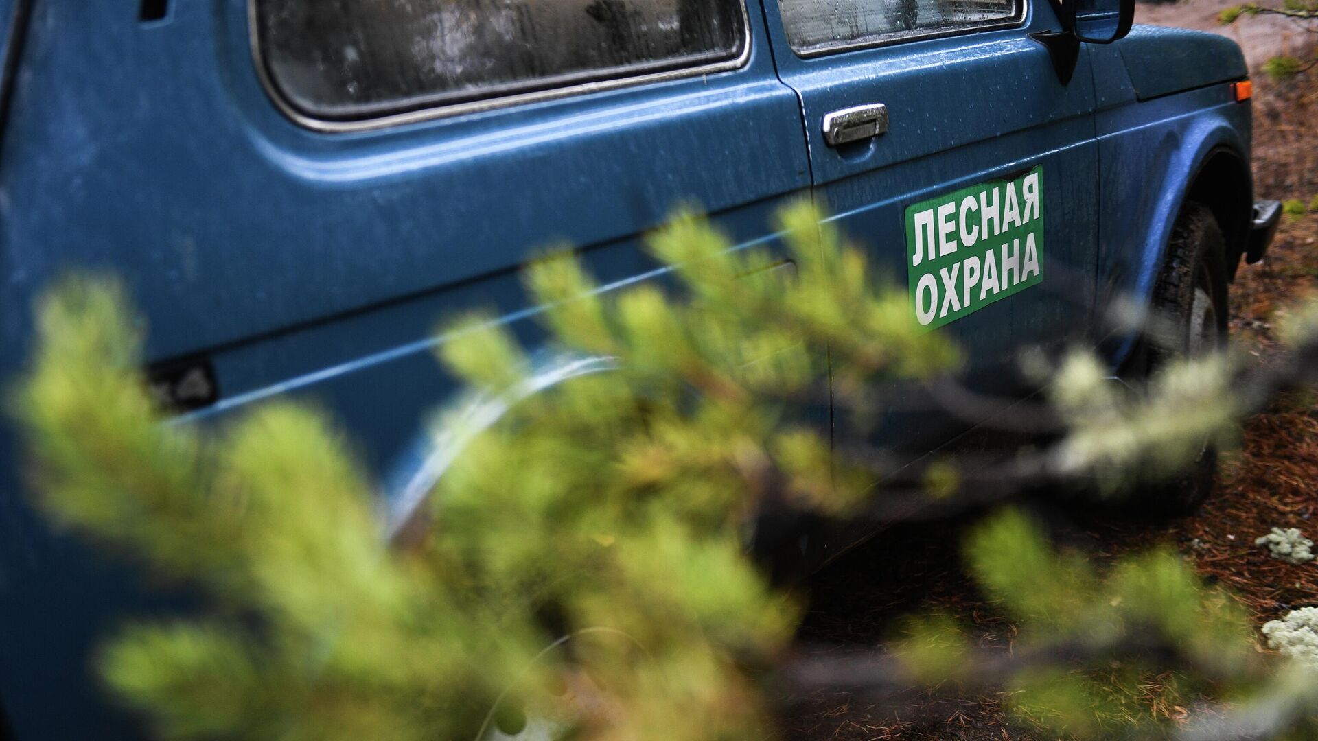 Автомобиль Лесной охраны - РИА Новости, 1920, 21.11.2025