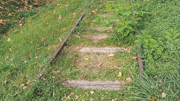 Железнодорожная ветка в никуда. Тоже одна из достопримечательностей Курьянова Железнодорожная ветка в никуда. Тоже одна из достопримечательностей Курьянова