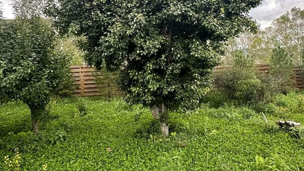 Территория Центра казачьей культуры Территория Центра казачьей культуры