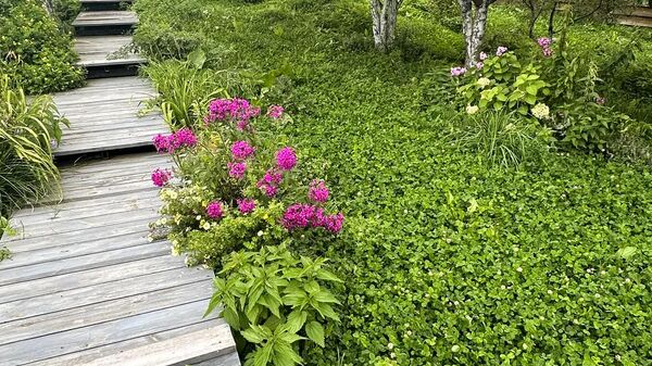 Территория Центра казачьей культуры Территория Центра казачьей культуры