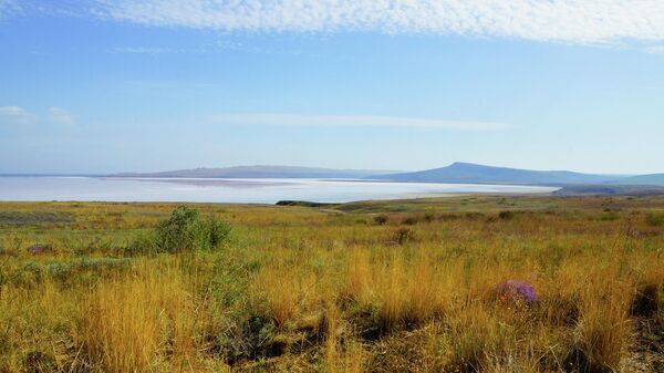 Природа близ хутора Аникина