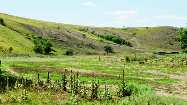 Природа близ хутора Аникина