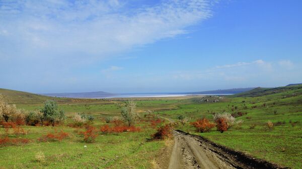 Природа близ хутора Аникина