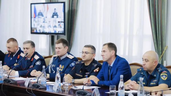 Участники заседания Совета при губернаторе Самарской области по делам казачества