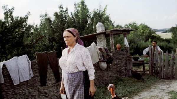 Нонна Мордюкова в роли Натальи Степановны в художественном фильме Они сражались за Родину. 1975 год Нонна Мордюкова в роли Натальи Степановны в художественном фильме Они сражались за Родину. 1975 год
