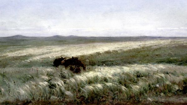 Иван Крылов. Картина Степь ковыльная. Дом-музей Ивана Крылова в Новочеркасске