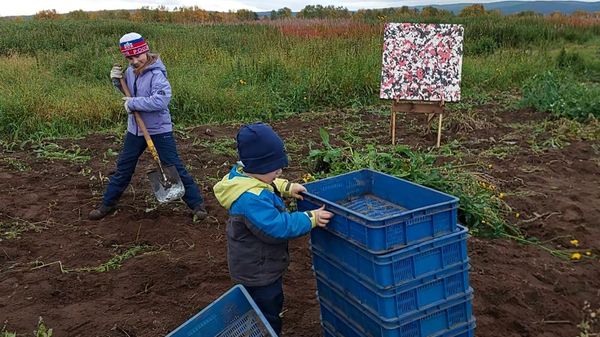 Участники благотворительной акции по сбору урожая картофеля Туломского ХКО